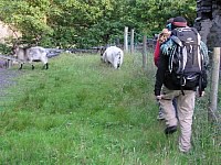 Click here to see a larger image