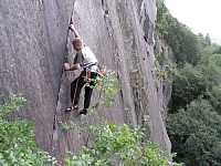 Click here to see a larger image