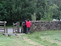 Click here to see a larger image